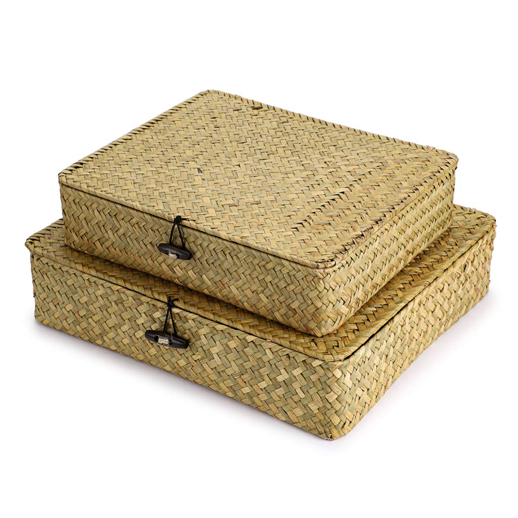 Hipiwe Set of 2 Flat Wicker Storage Basket Bins with Lid Woven Seagrass Box